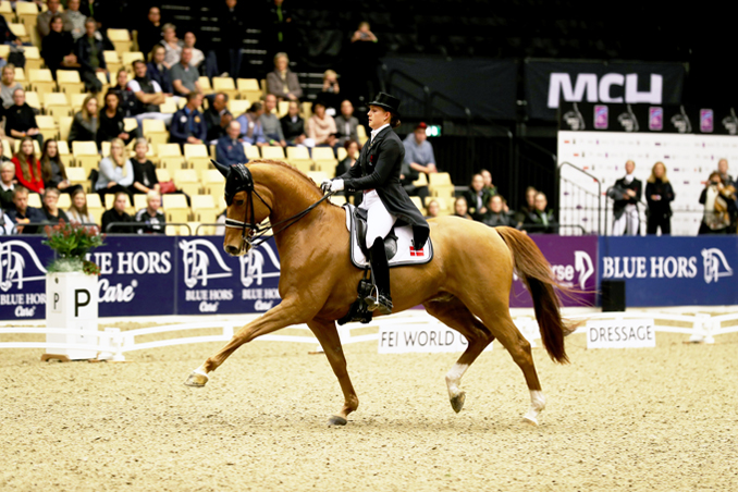 Cathrine Dufour beats Daniel Bachmann Andersen on home territory in CDI4* Grand Prix of Herning