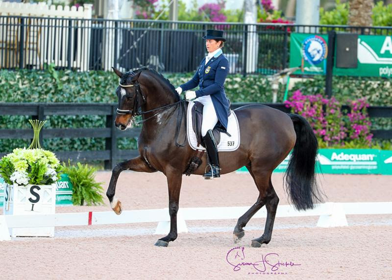 Records Broken at the First 2018 Friday Night Stars at the  Global Dressage Festival