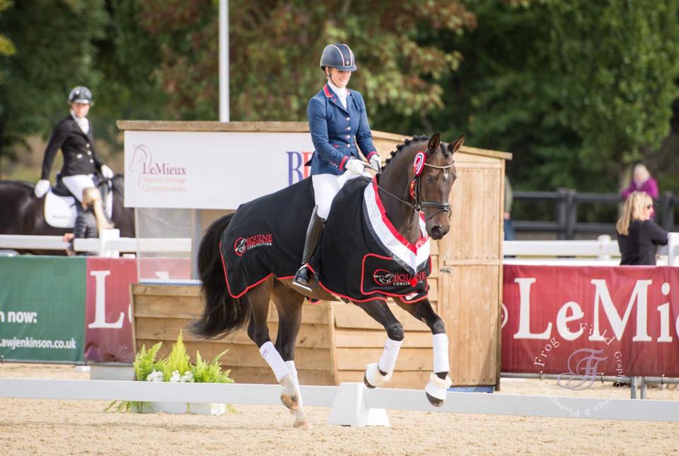 Equine construction extend dressage and eventing sponsorship
