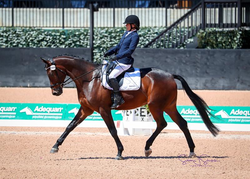 Dressage, Para-Dressage and Driving Test Events Boast Positive Response on First Day of Competition