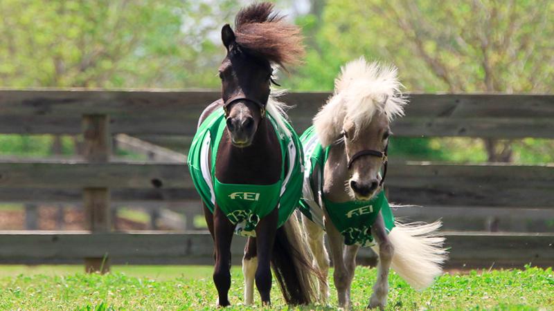 The FEI World Equestrian Games™ Tryon 2018 Announces the Official Mascots of the Games