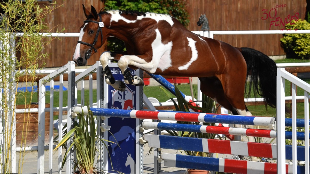 Last chance to bid on your future star in the 30th Fences Auction