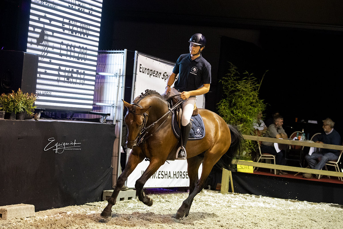 175.000 euro for best selling horse at European Sport Horse Auction
