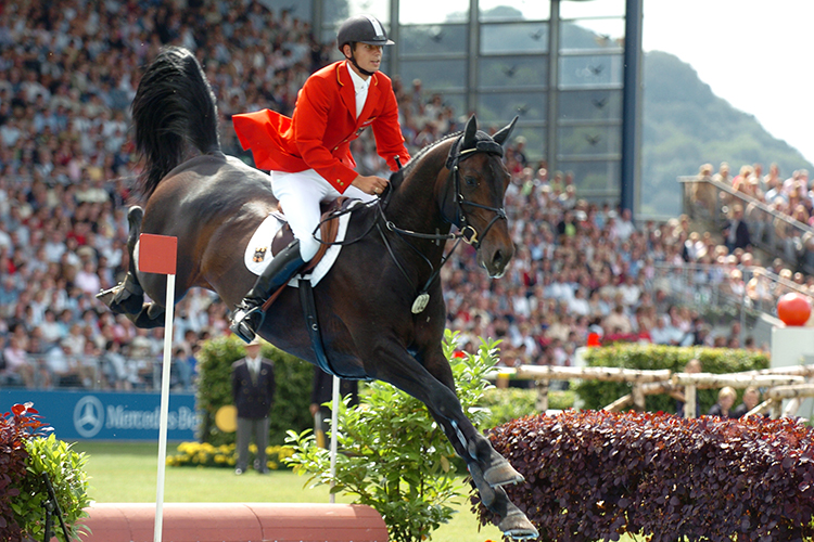 Iconic stallion, Montdener Passed away