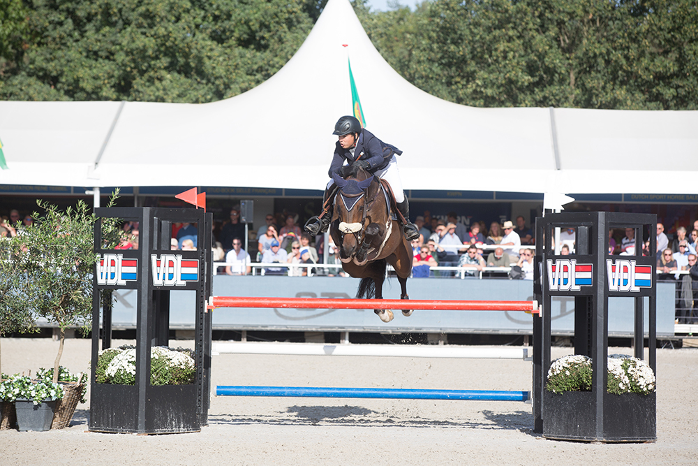 Belgium's First Horses Stables acquires World Championship finalist, Ikoon L