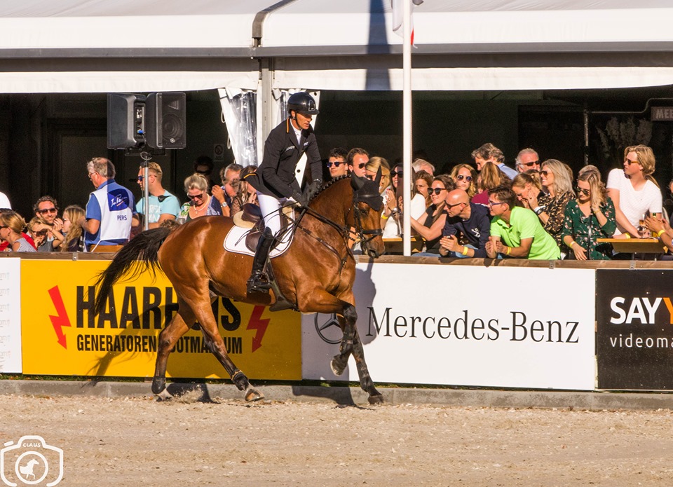 CCI4*-S Wiesbaden: Dirk Schrade takes the lead after dressage and showjumping