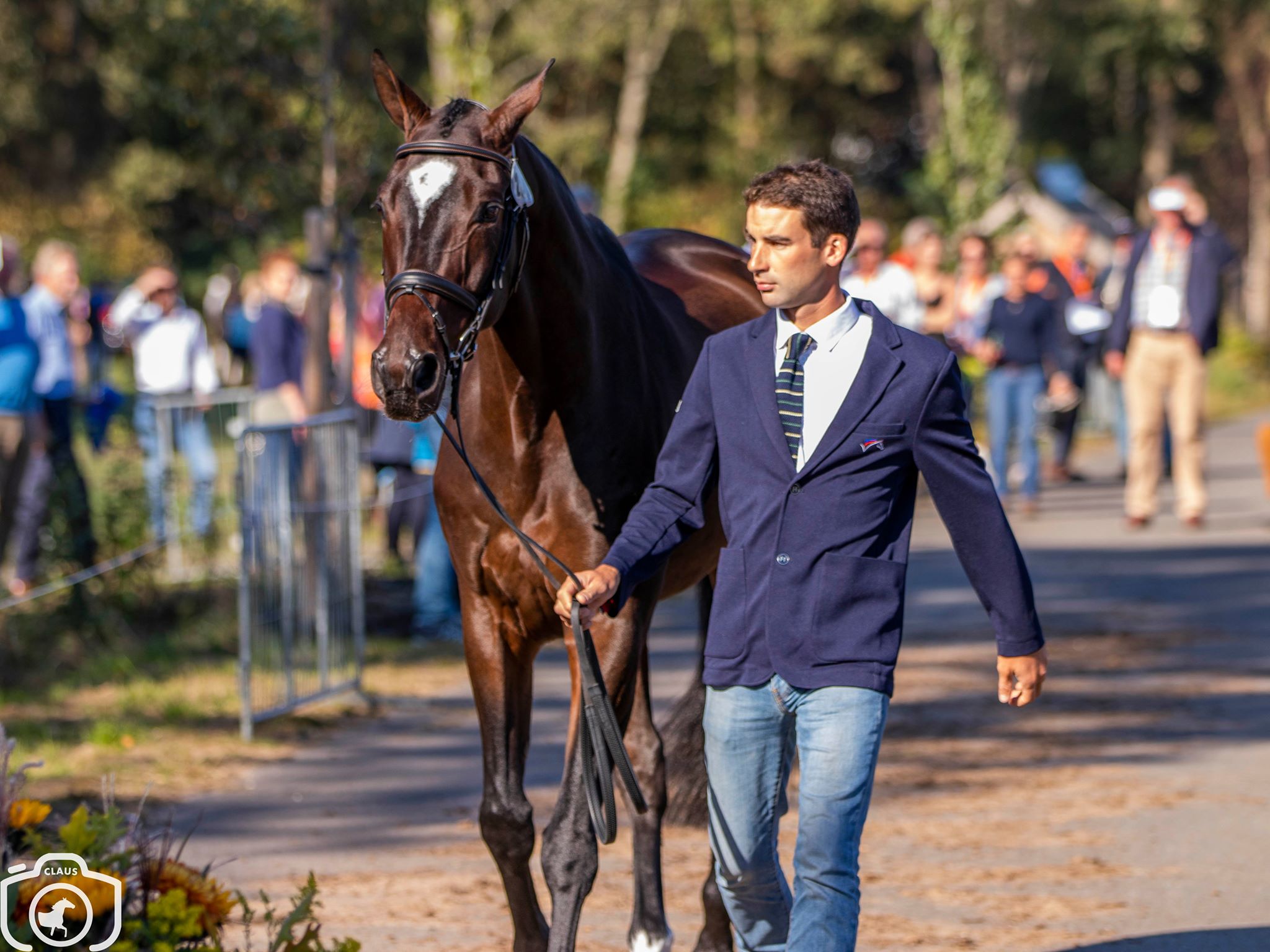 Alteramalib'Or, the top horse of Astier Nicolas, fit to compete again