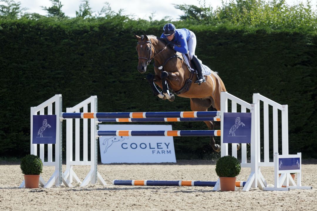 AD-Auction presents top quality horses of Cooley Farm: "We produce Irish Sport Horses that can jump on the highest level"