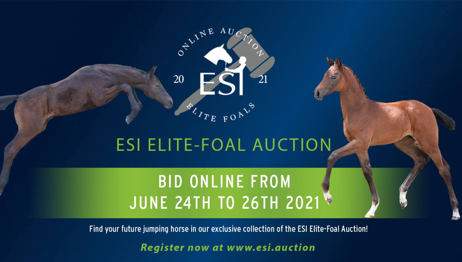 ESI Elite-Foal Collection is online
