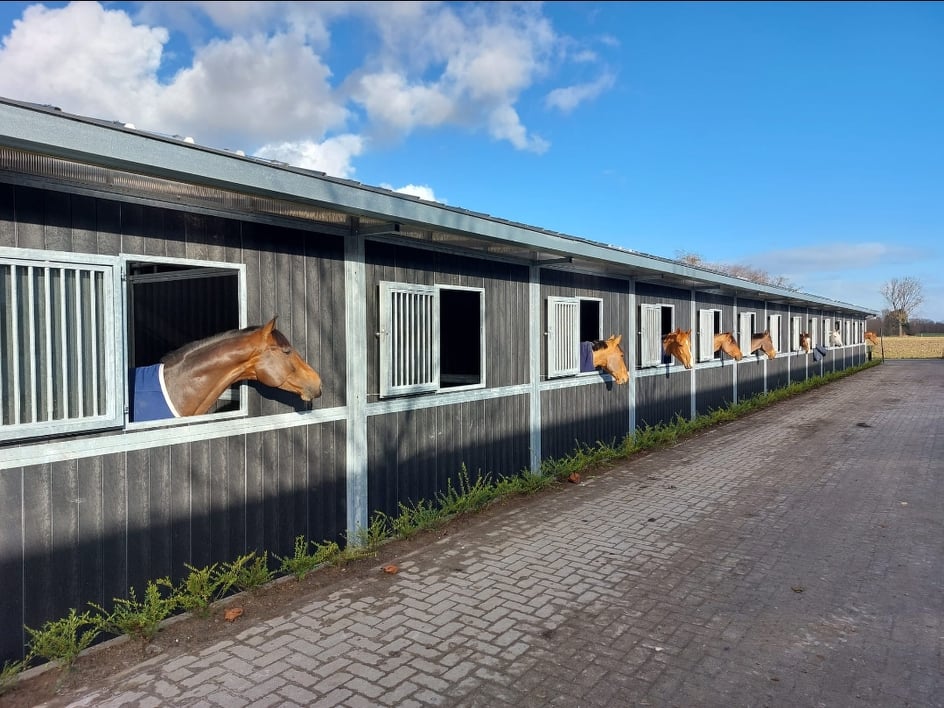 Mike Hazebroek: "As of March, permanent competition boxes are available for all horses"