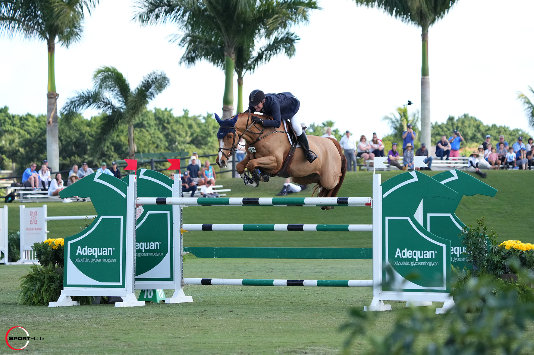 McLain Ward Saves the Best for Last in $50,000 Adequan® WEF Challenge Cup Round IV CSI4* Victory
