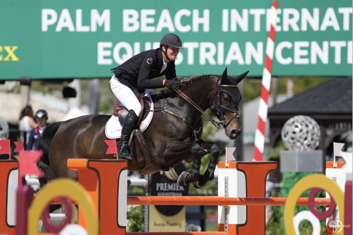 Victory for Verlooy in the $37,000 Adequan WEF Challenge Cup Round VIII CSIO4*