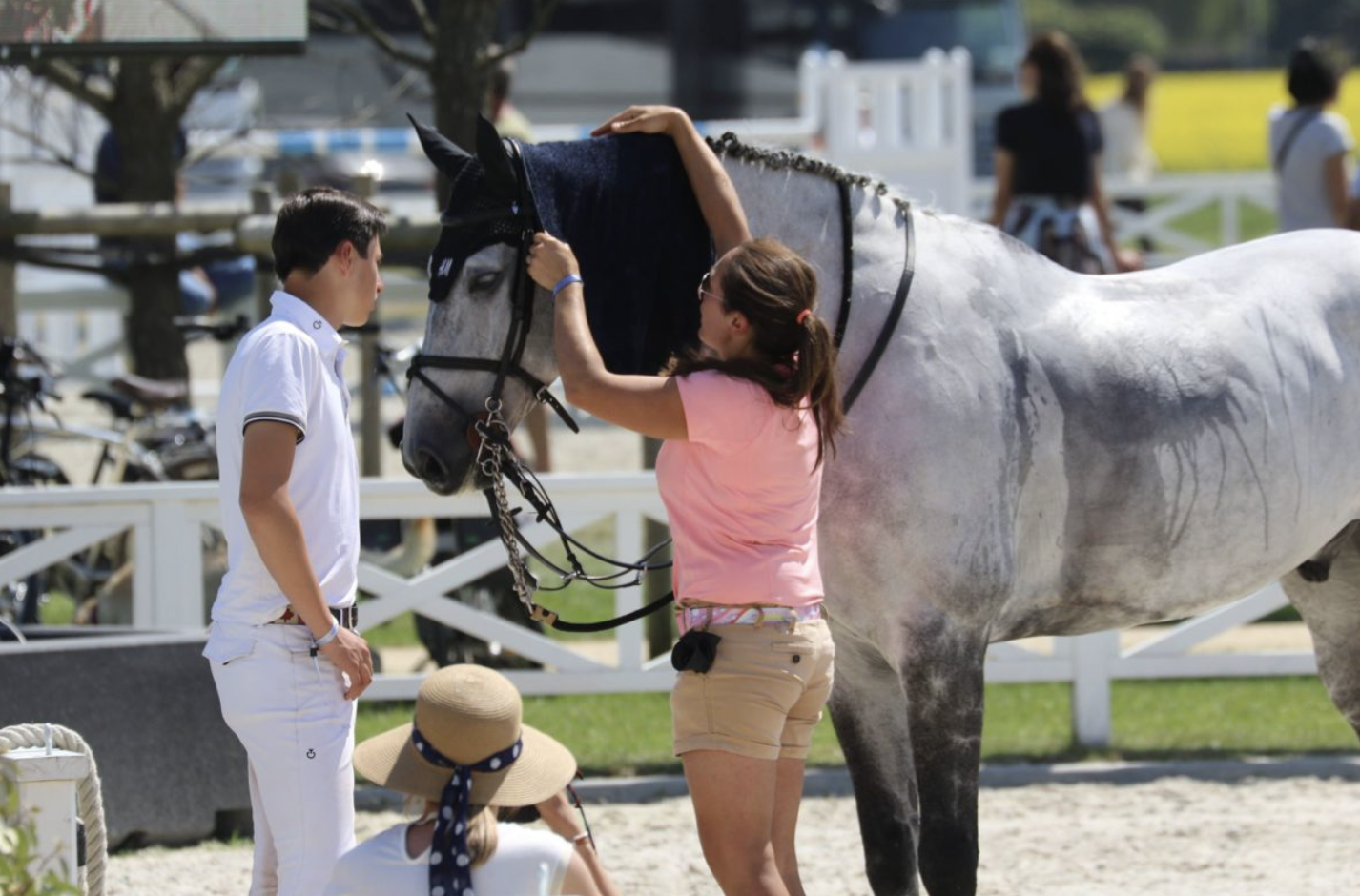 "Many equestrian companies are an out-of-control hobby because the owners never learned how to run a business"