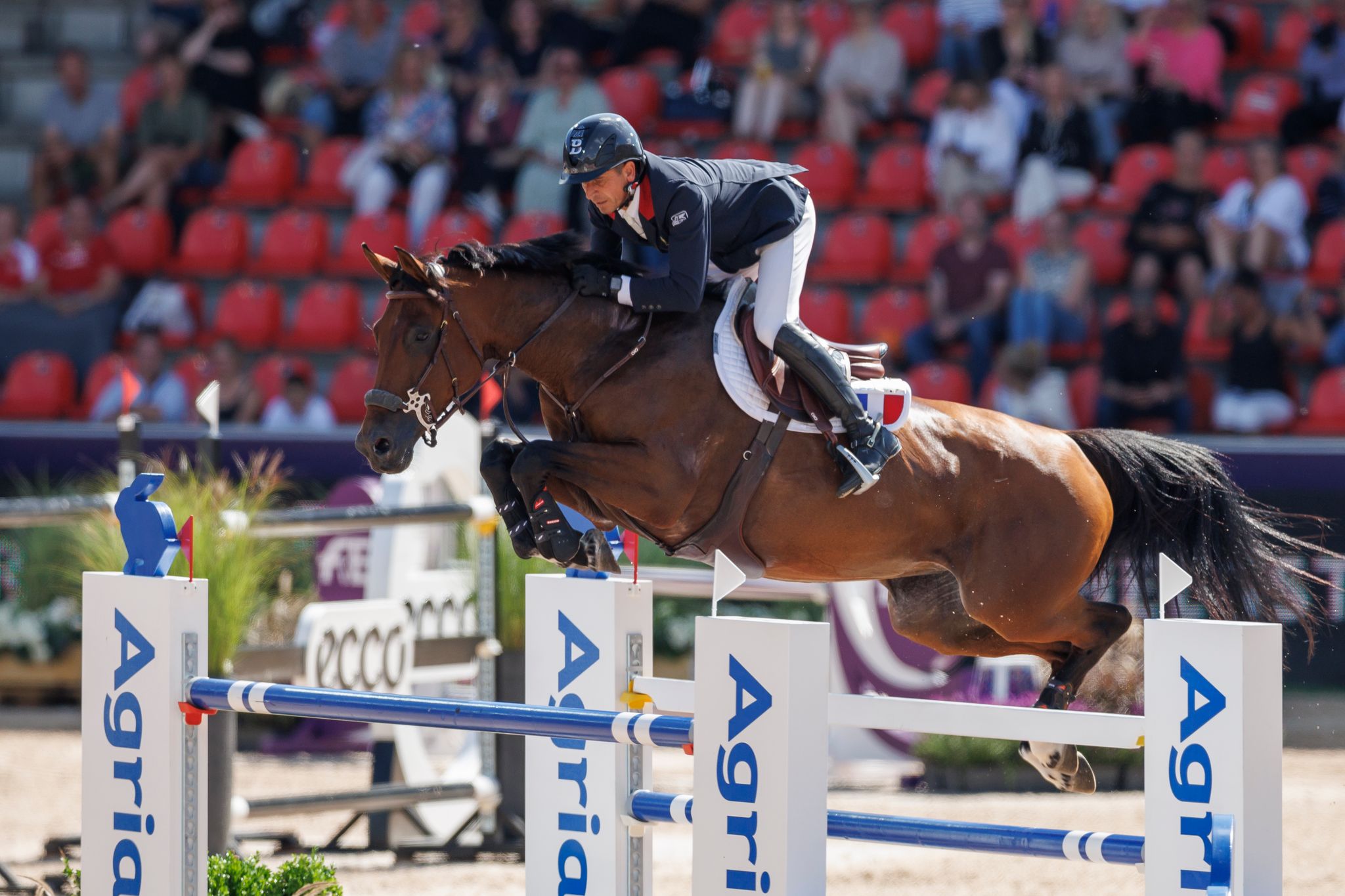 Julien Epaillard and Pedro Veniss start strong with new horses in Rome
