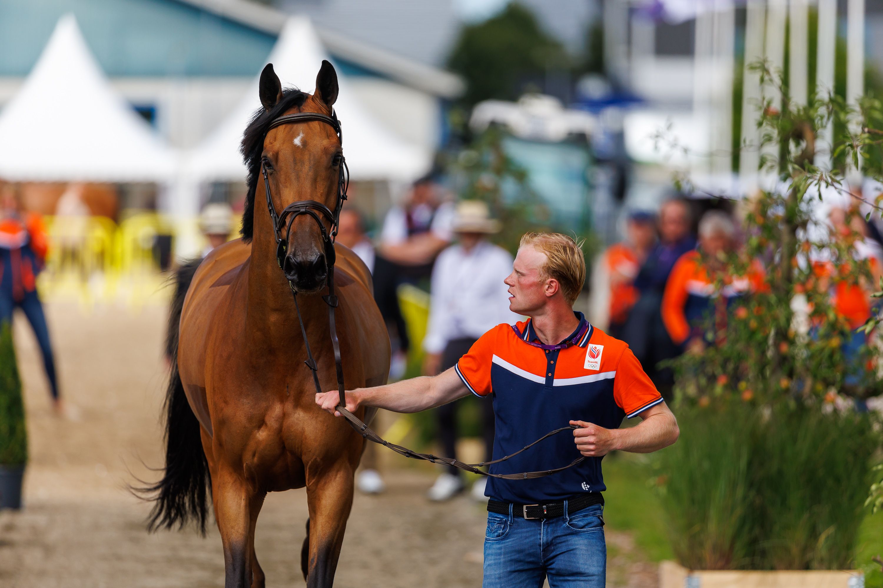 Five horses up for re-examination in Herning