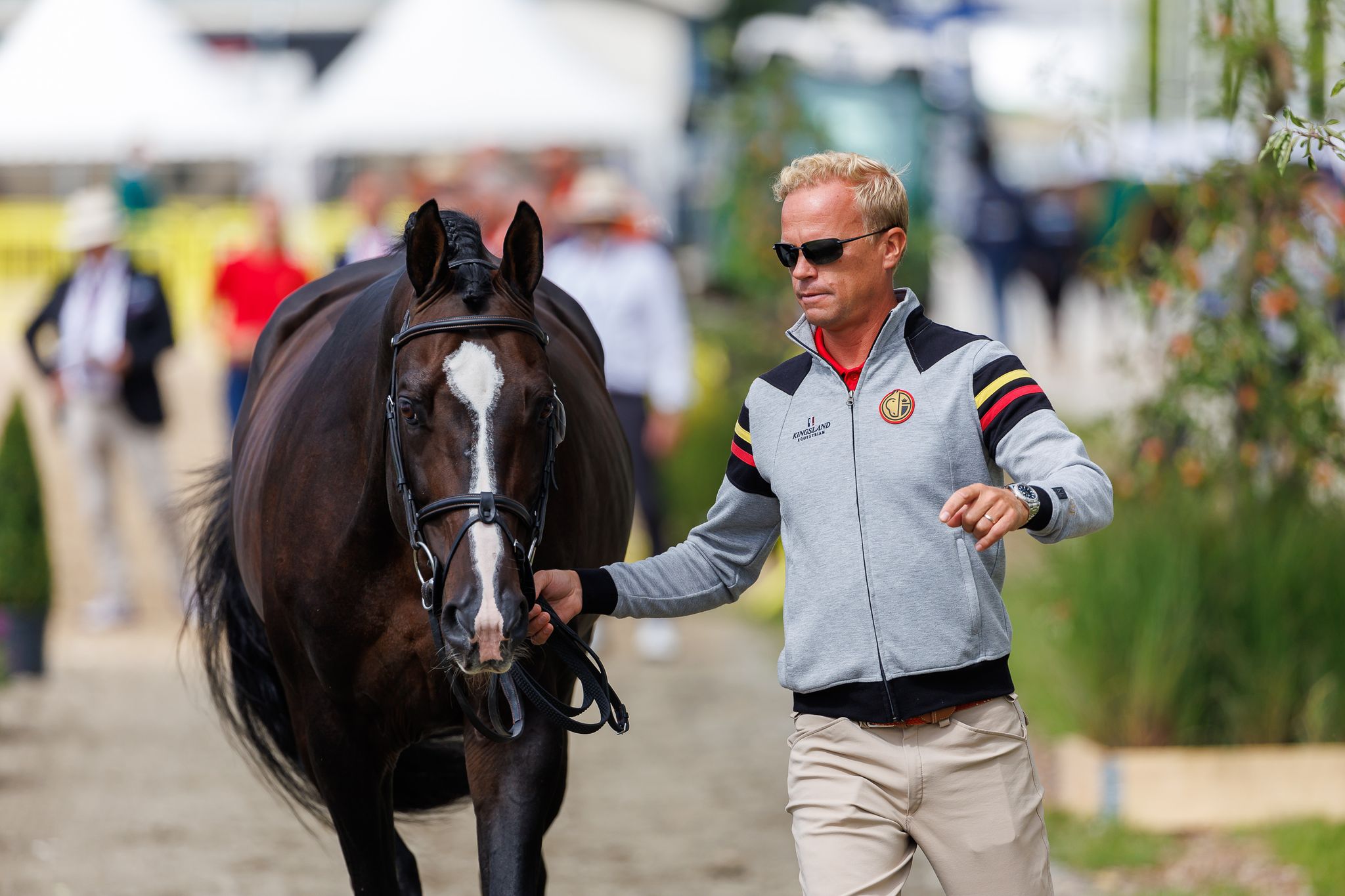 Photo review: The vetcheck for showjumping horses in Herning