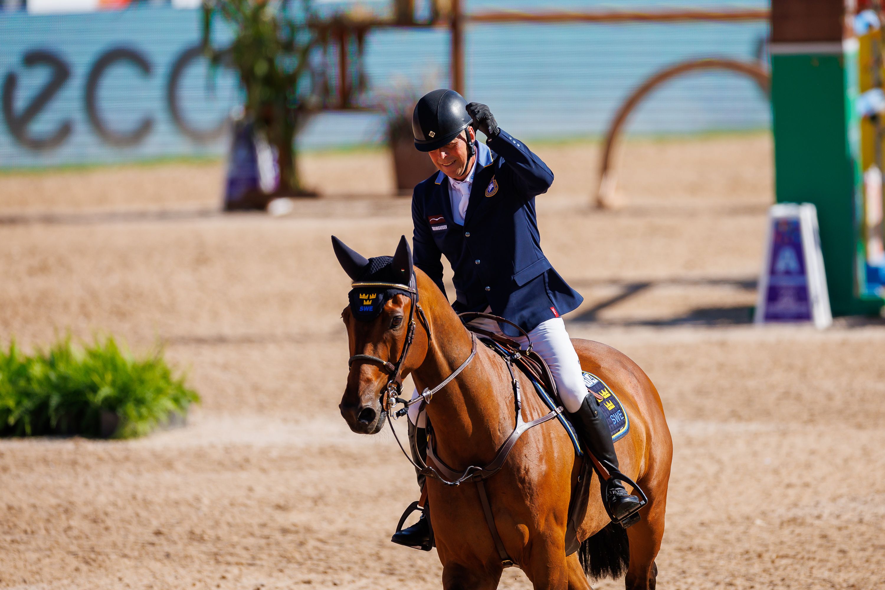Sweden and Julien Epaillard hold on leading positions at World Championships showjumping