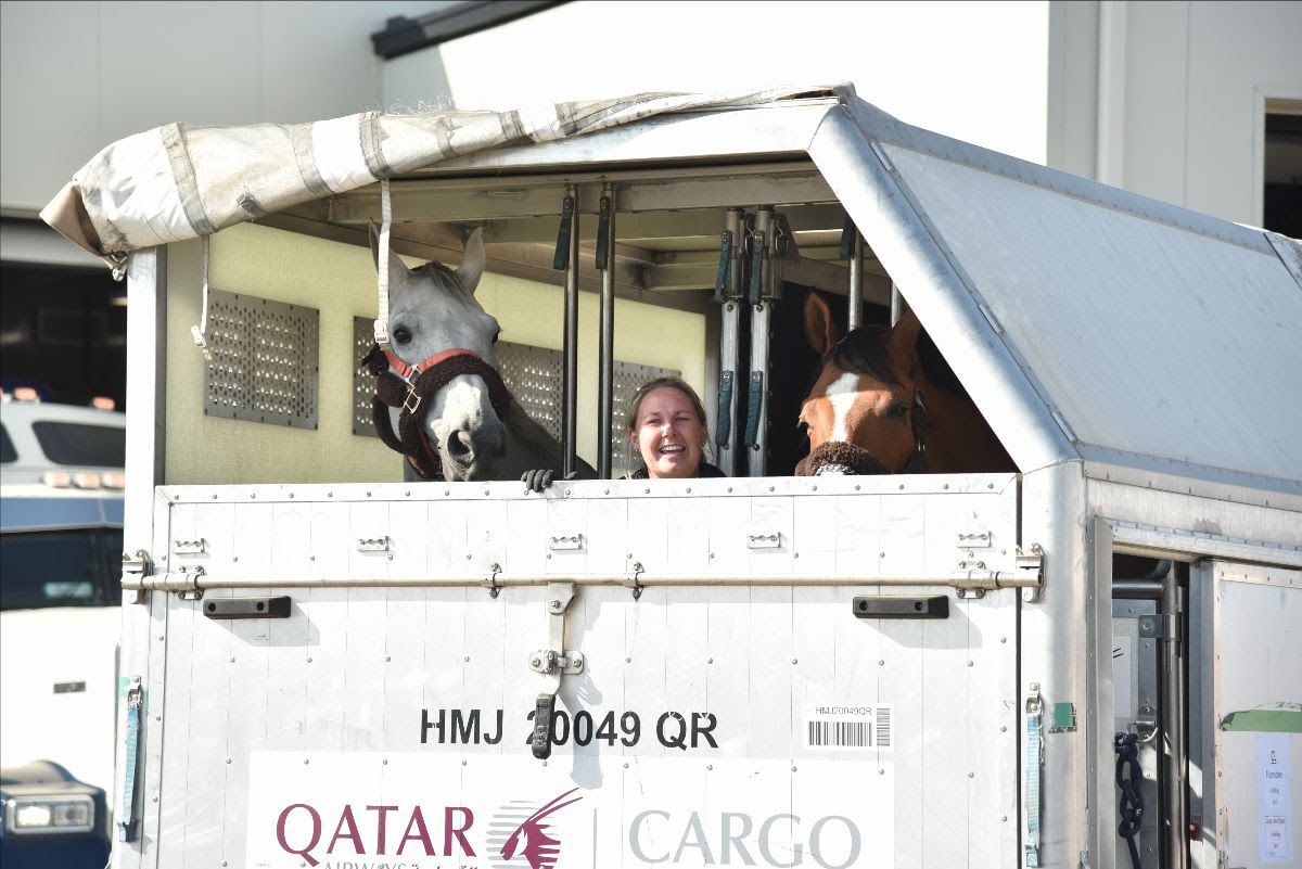 The World's Top Show Jumping Horses Have Arrived