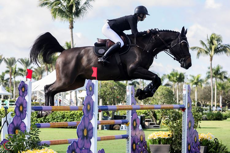 Natalie Dean and Dotcom d’Authuit Dazzle in Wellington Equestrian Realty CSI4* Speed