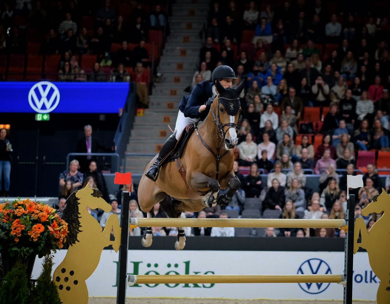 Horses and riders for Göteborg Horse Show!