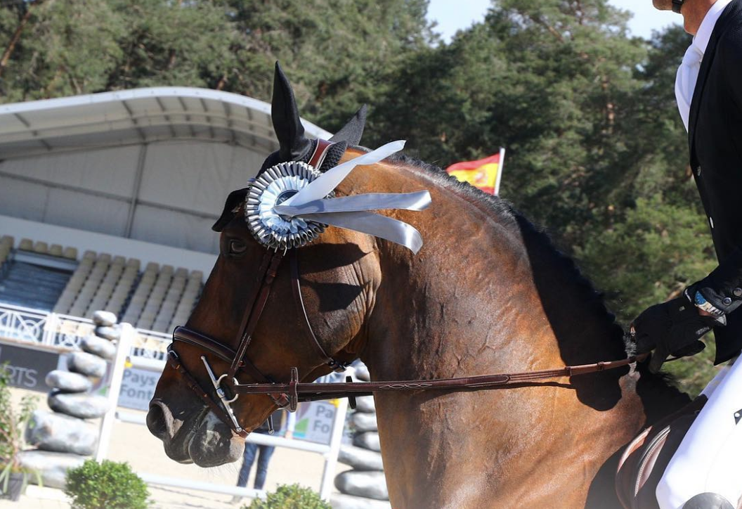 Julien Anquetin unbeatable in 4* 1.50m Class of Fontainebleau