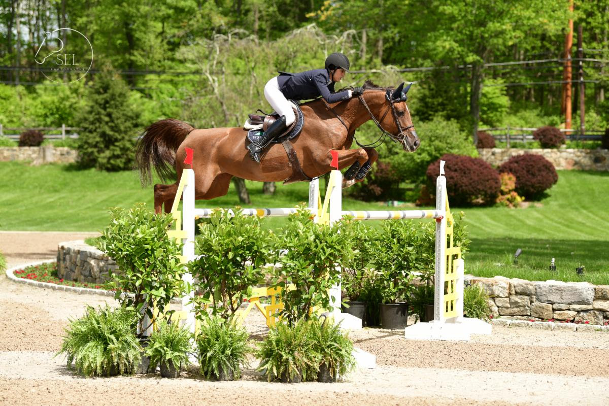 Langmeier Takes Top Honors in Evergate Stables’ Welcome Stake  at Old Salem Farm Spring Horse Shows