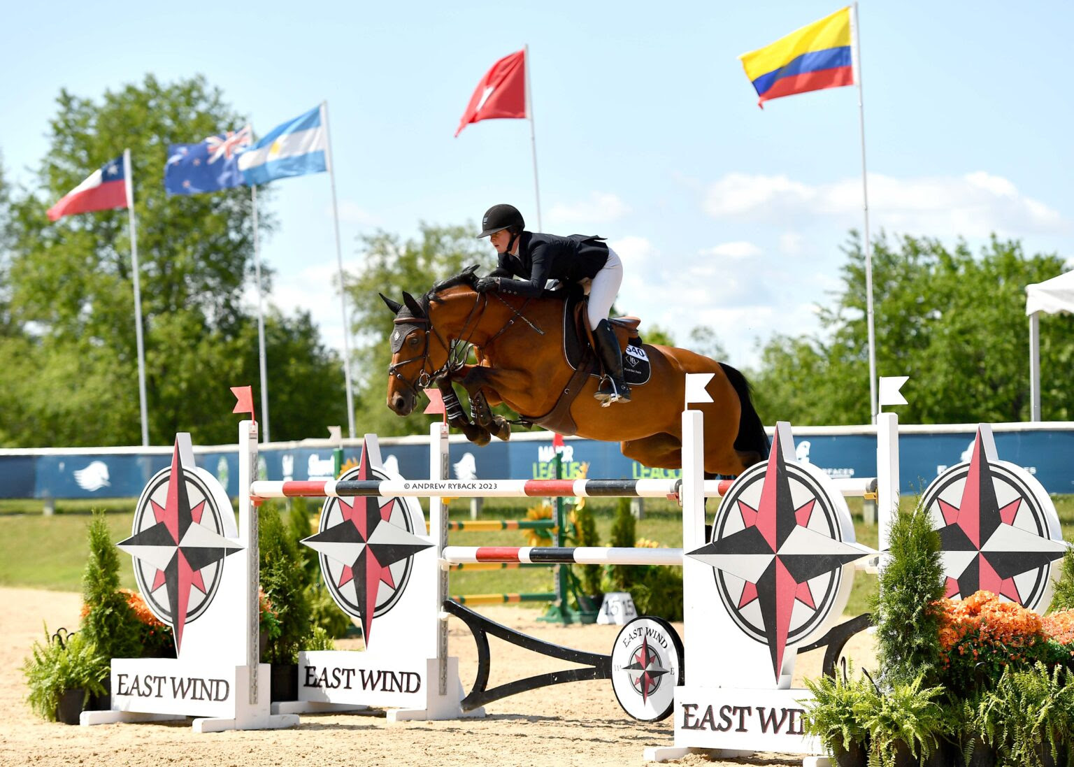 Cathleen Driscoll and Flotylla keep winning at Great Lakes Equestrian Festival