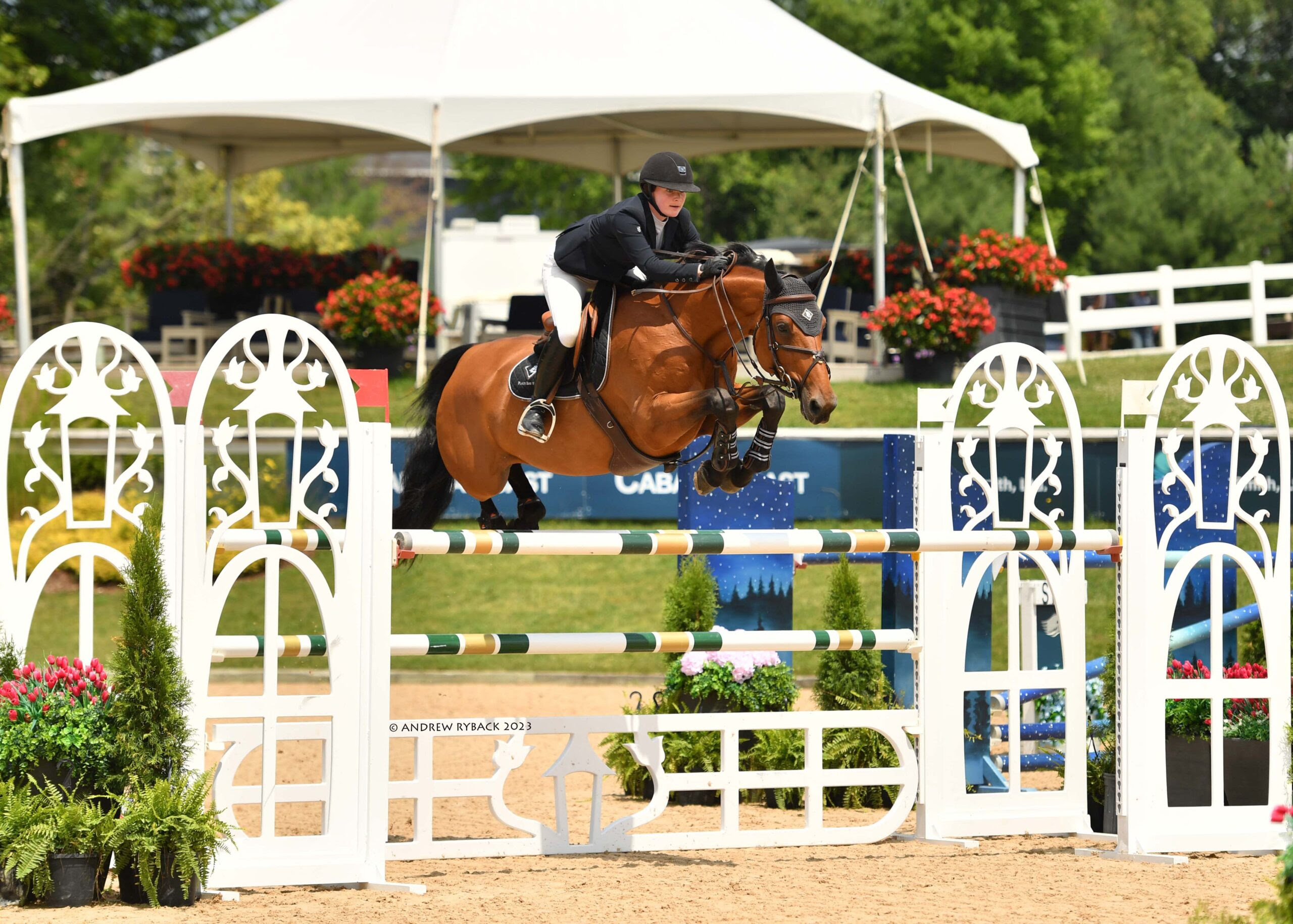 Cathleen Driscoll and Flotylla Fly to First in 1.45m Speed Classic