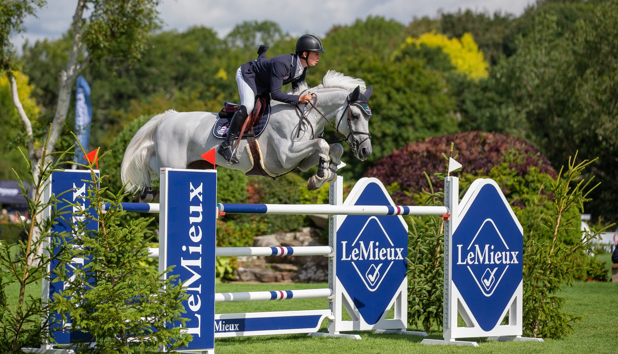 Jack Whitaker leads British pack in Hickstead