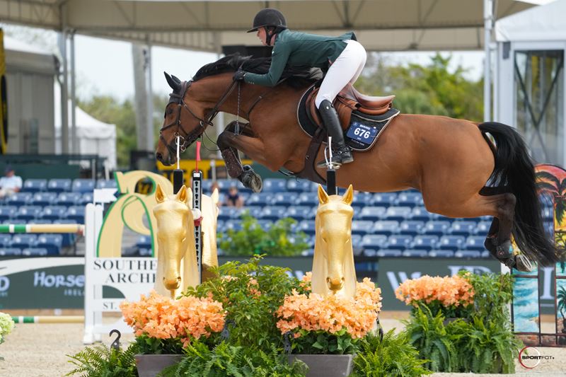 Simon McCarthy and Cathleen Driscoll impress with wins at WEF, Wellington!