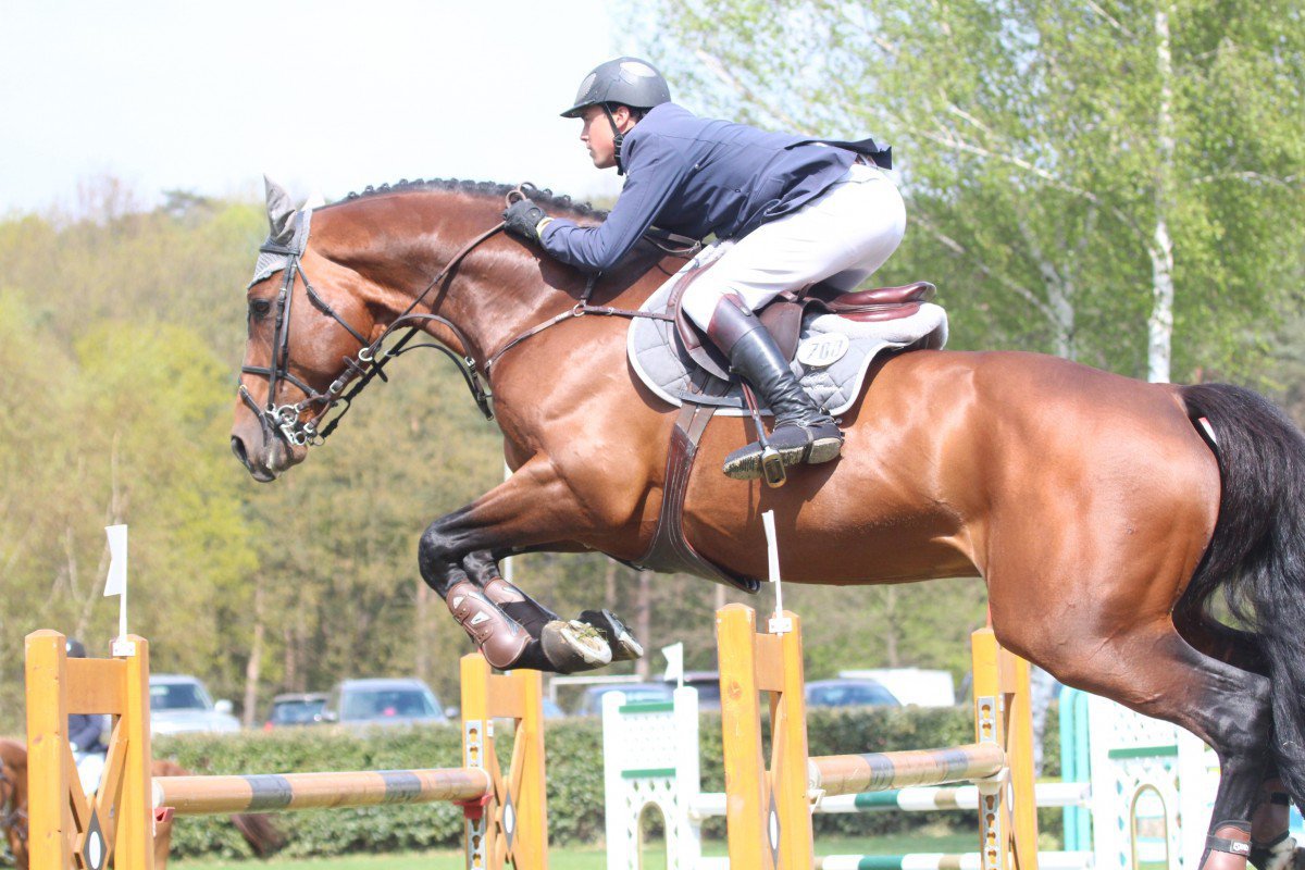 Les cavaliers belges à l'honneur dans les épreuves jeunes chevaux à Mijas