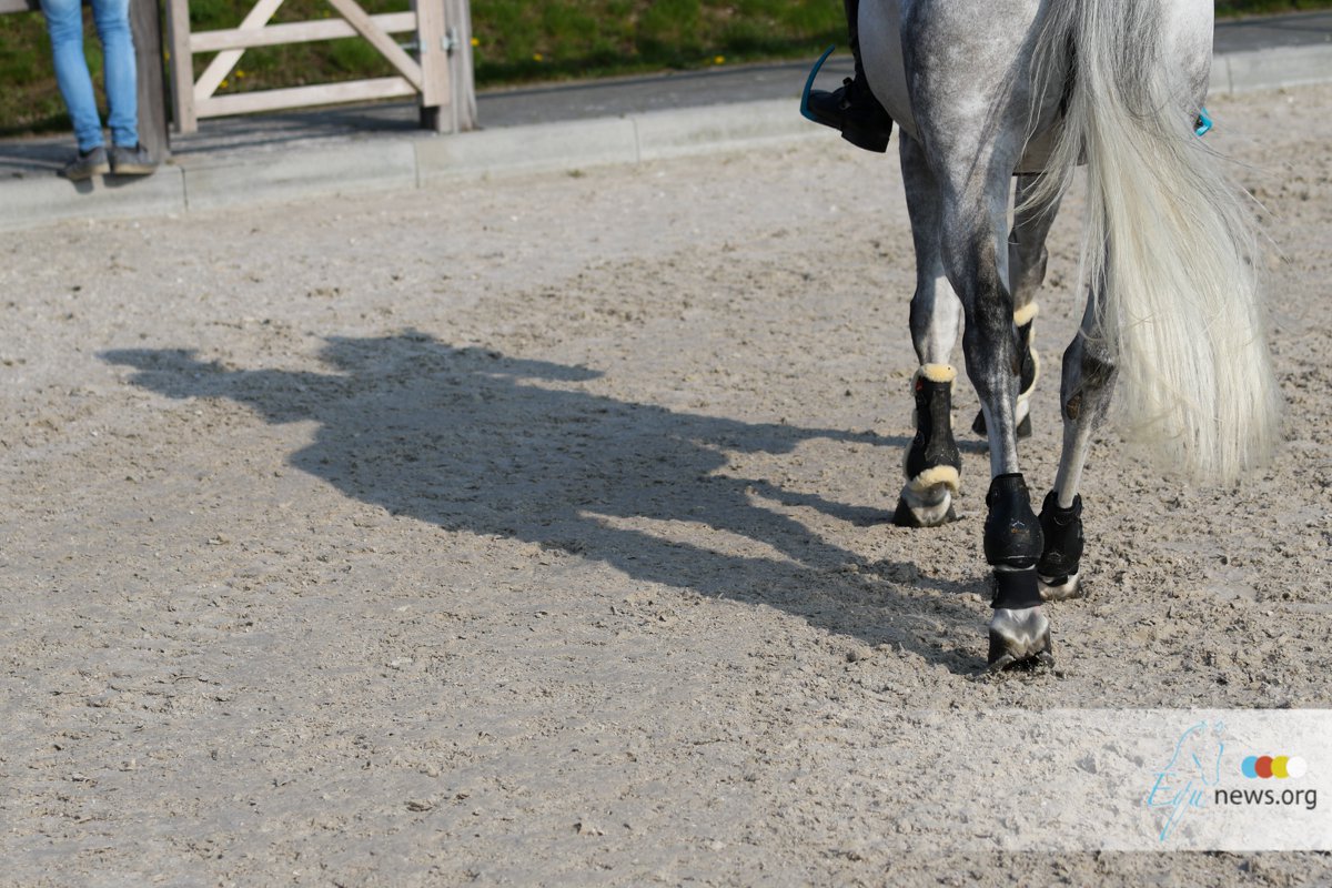 Truppa accused in case sale of top horse Eremo del Castegno