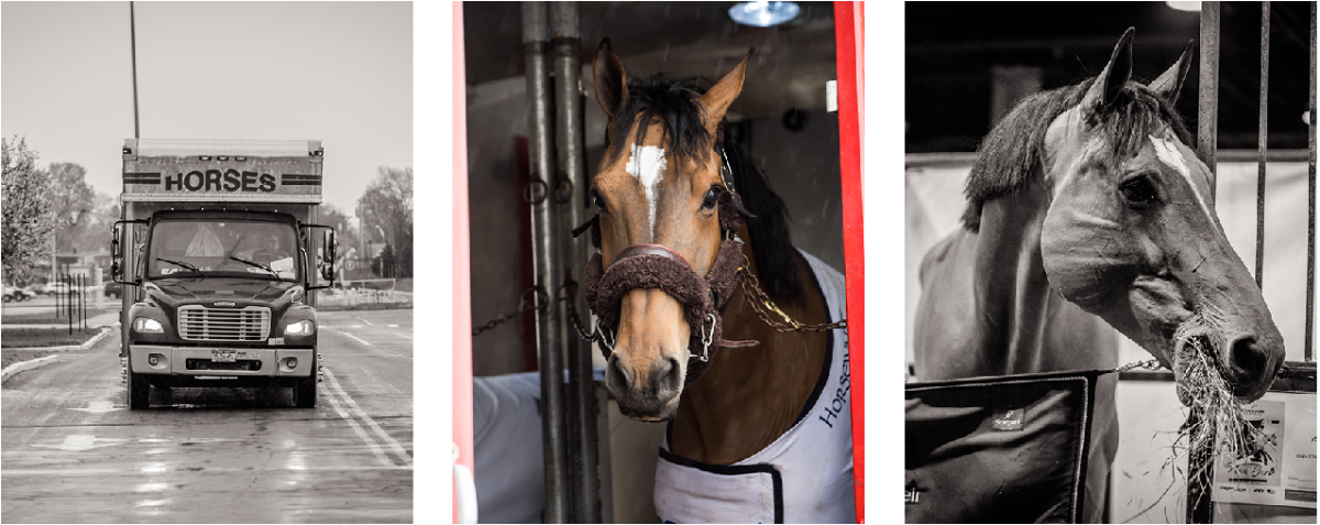 Les meilleurs chevaux du monde sont arrivés  au NYBC Live pour le Longines Masters de New York