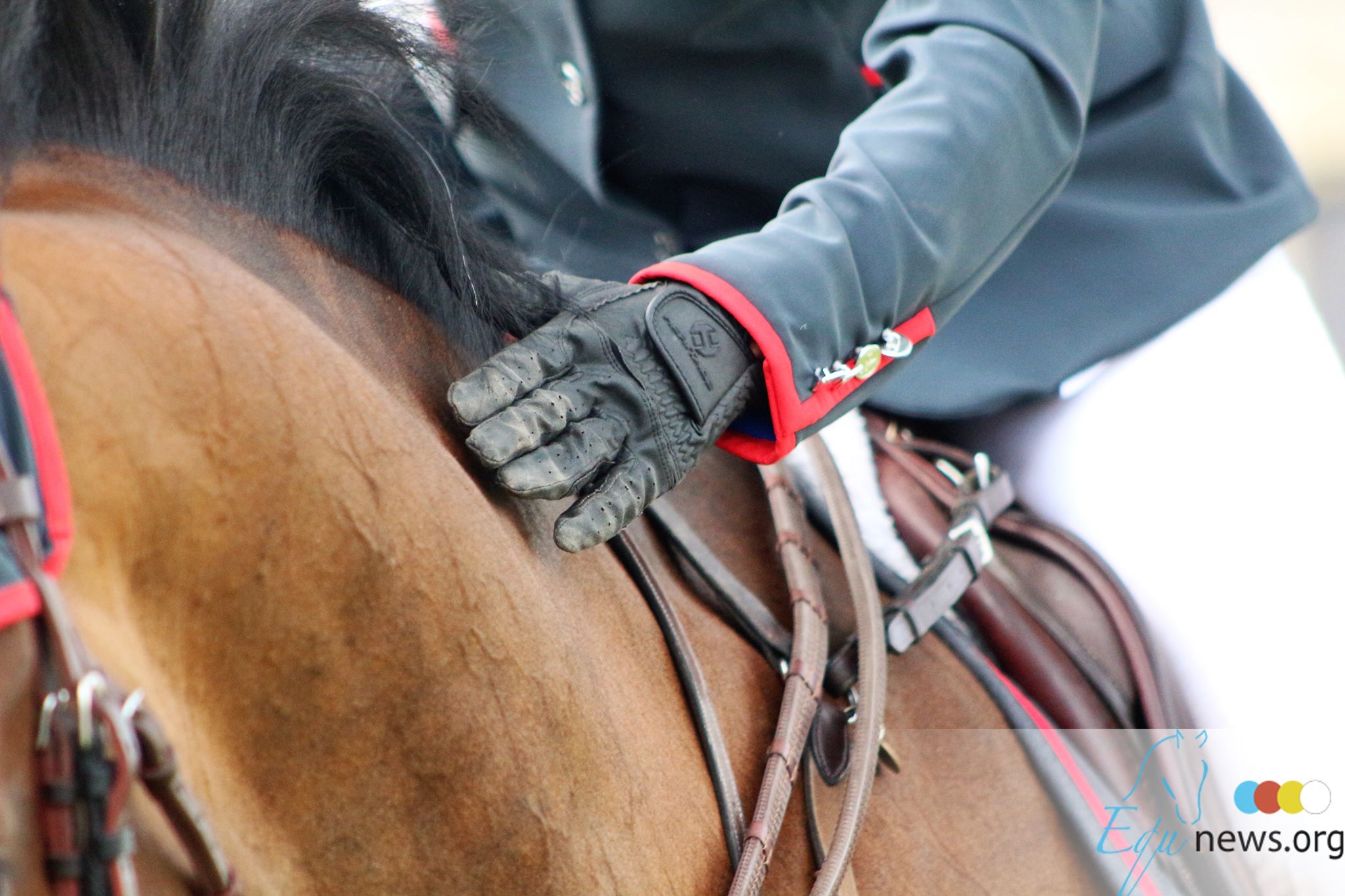 Le gouvernement Français autorise les propriétaires de chevaux à se rendre aux prés et dans les centres équestres pour contribuer à nourrir et à soigner leur animal