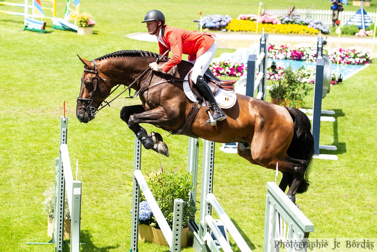 Niels Bruynseels: “Bijna zeker Belgisch paard op het podium, nu nog een Belgische ruiter”