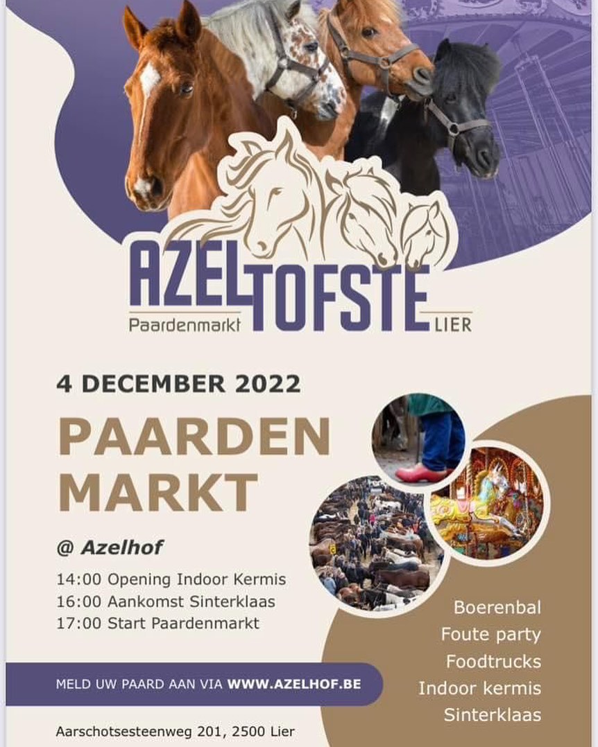 Le marché aux chevaux indoor au Azelhof à Lier