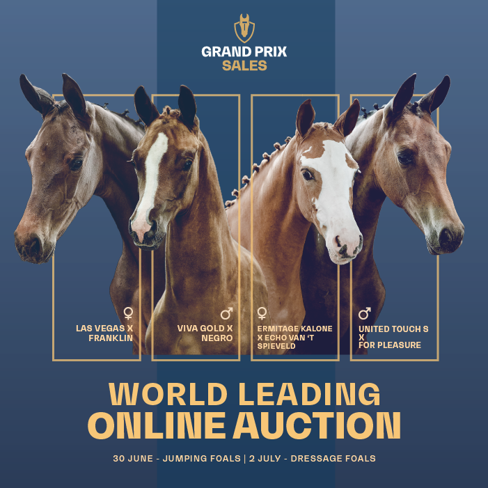 advertisement image
