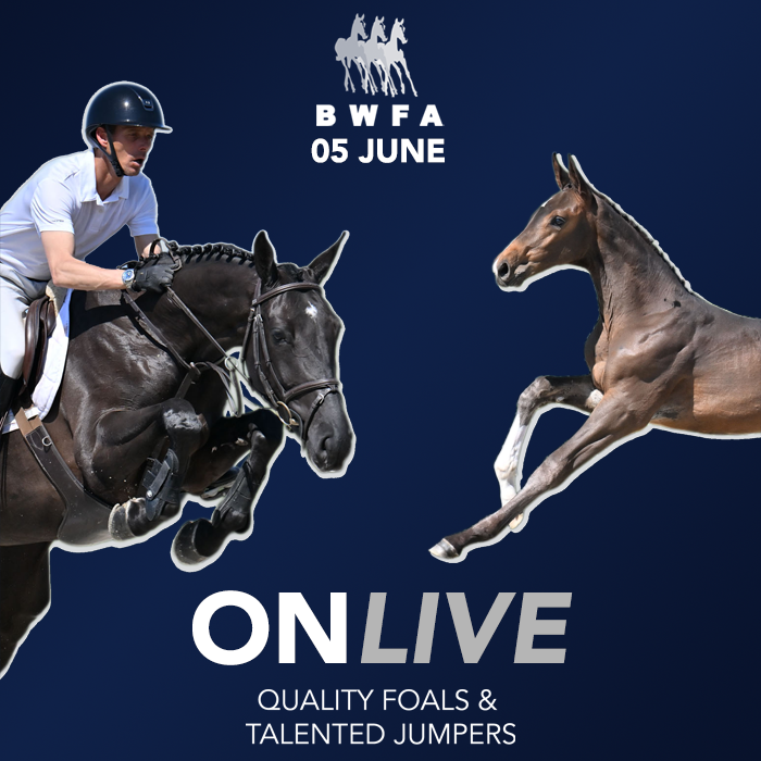 advertisement image