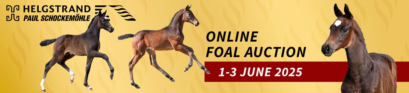 advertisement image