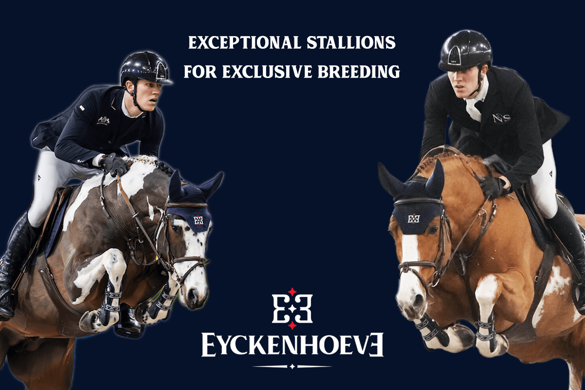 advertisement image