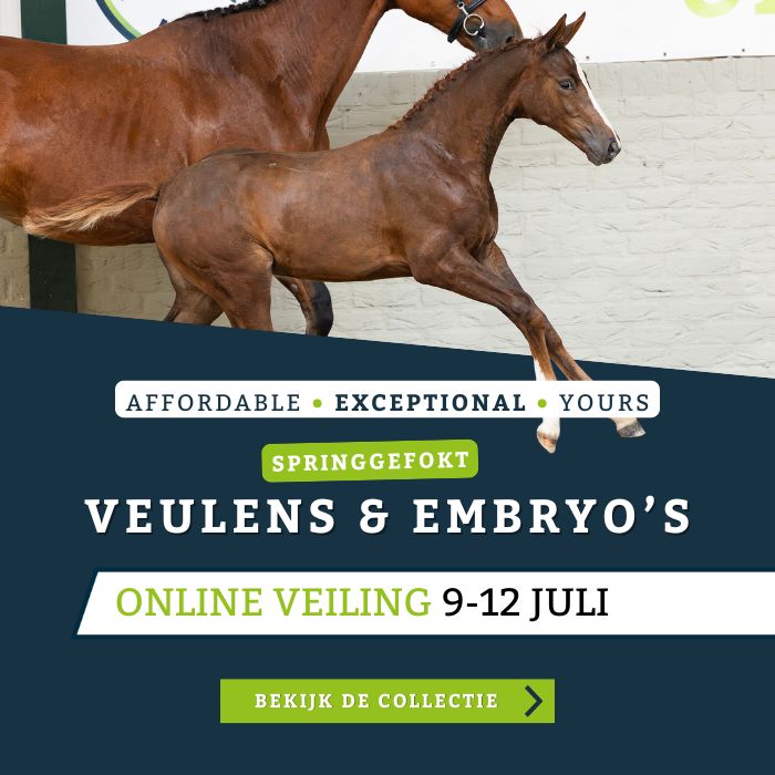 advertisement image