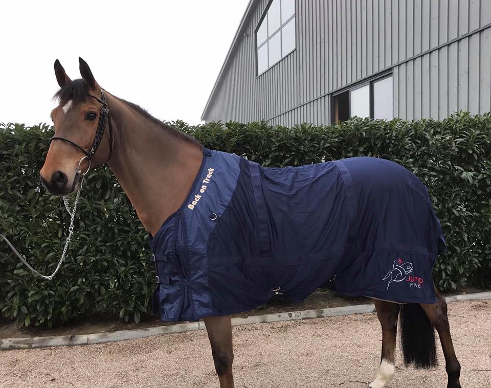 Nieuw "nummer één" paard voor Patrice Delaveau
