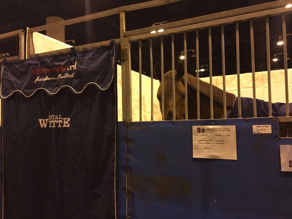 Wereldbeker paarden iets langer in quarantaine