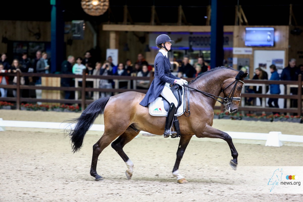 Paardensport Vlaanderen komt met wedstrijdgerichte trainingen voor dressuurruiters