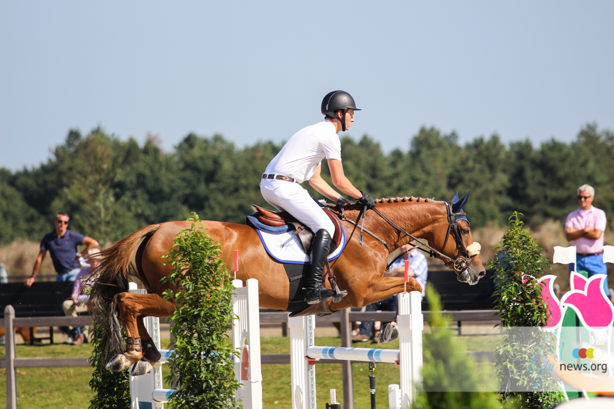 KWPN'ers tonen topkwaliteit in proef jonge paarden De Peelbergen