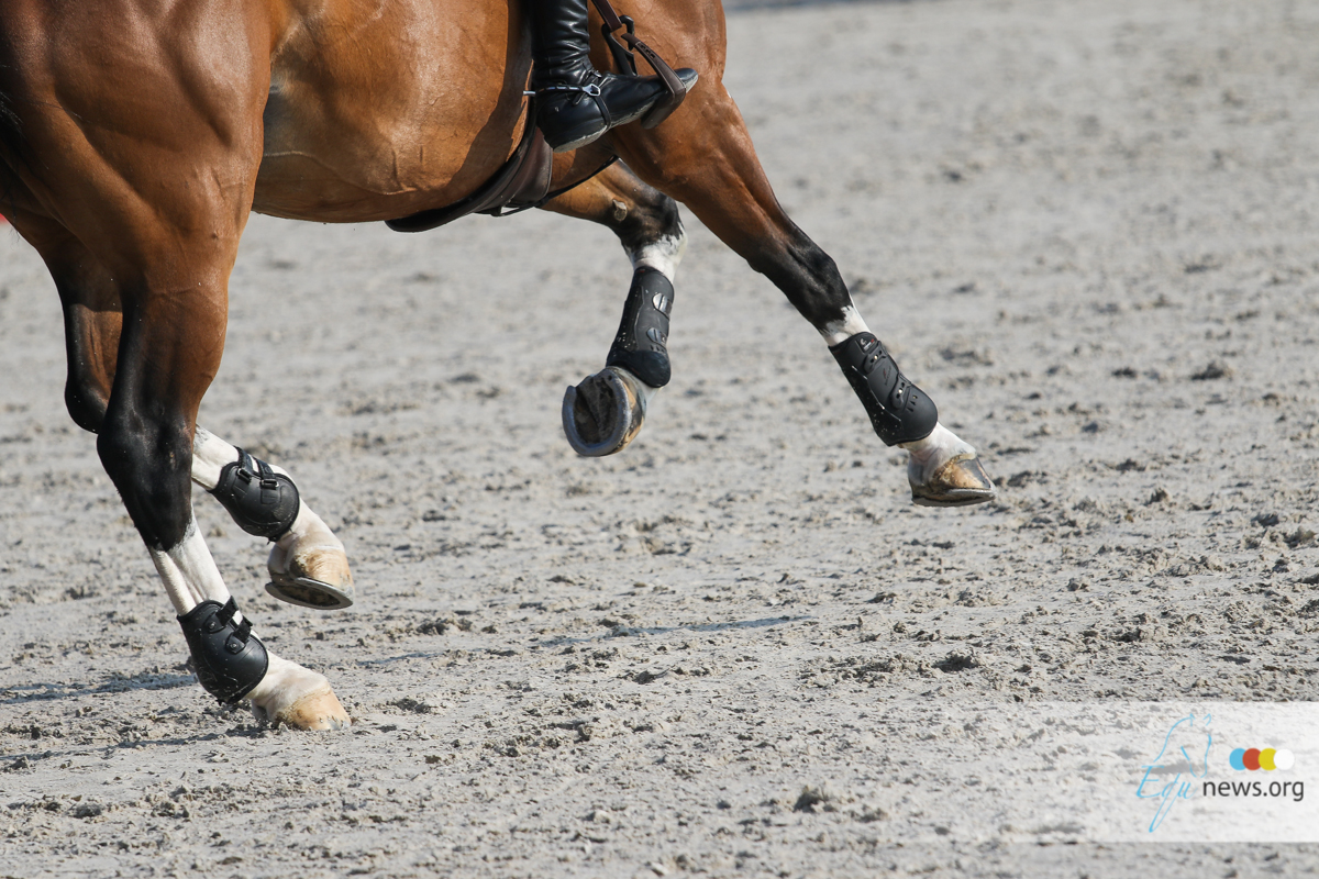 Belastingsdienst neemt paardensport in het vizier