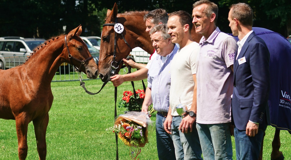 Imponerende Mia-Amanda veulenkampioen op Nationale Dag Gelders Paard