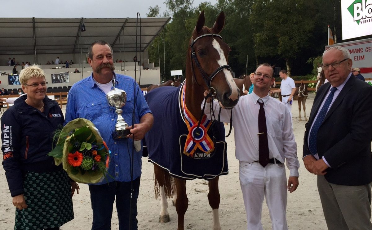 Jillz S en Iareska stralende kampioenen Gelders paard