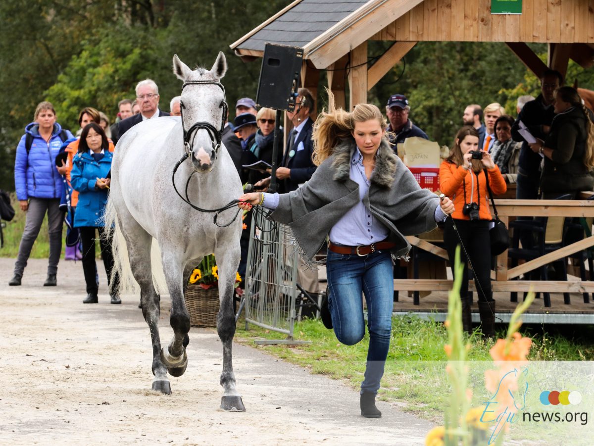 Alle paarden 'Accepted' bij veterinaire keuring Boekelo
