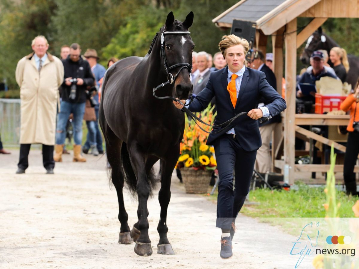 Military Boekelo: Groen licht voor Nederlandse eventingpaarden